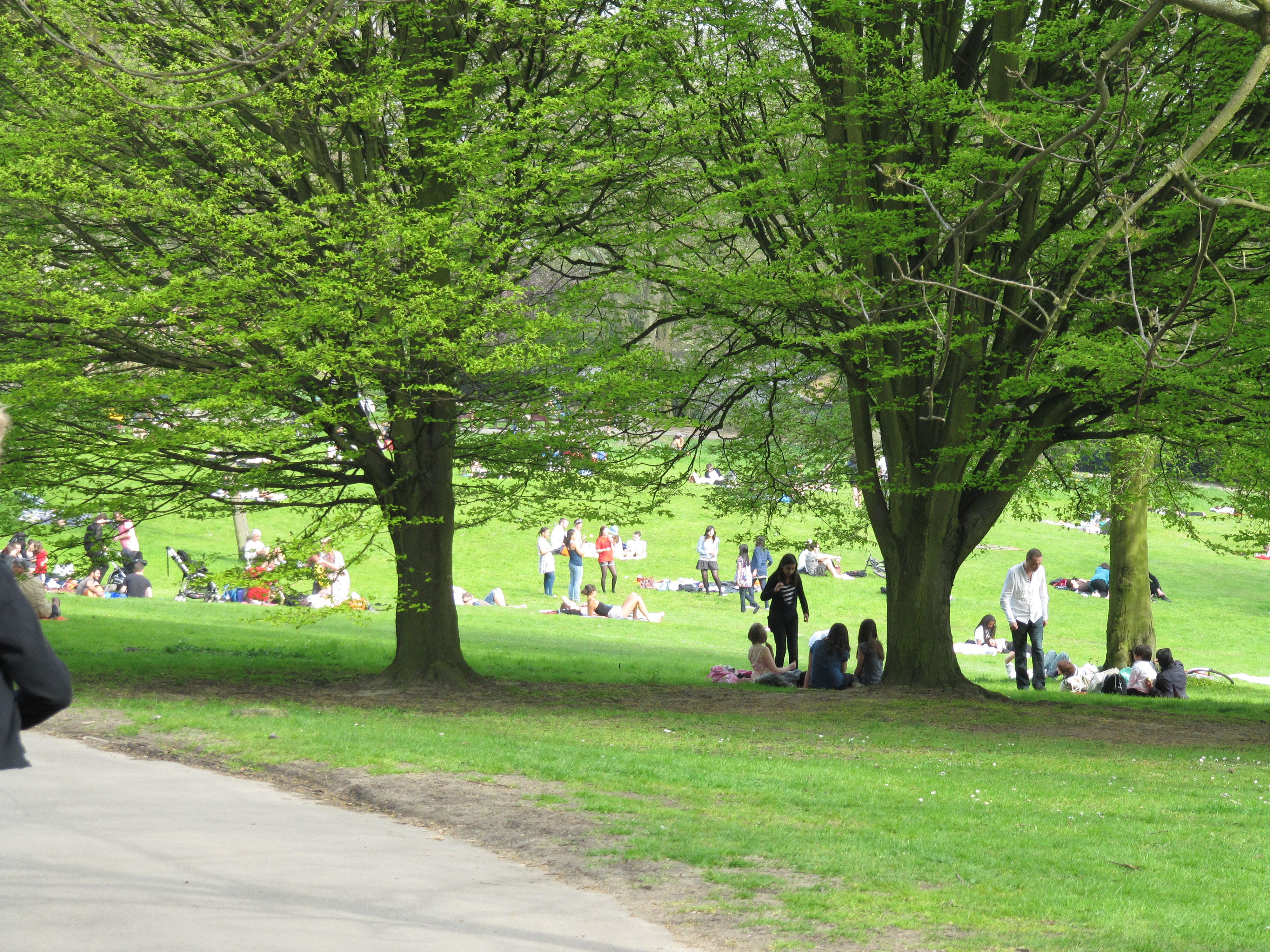 Hampstead Heath