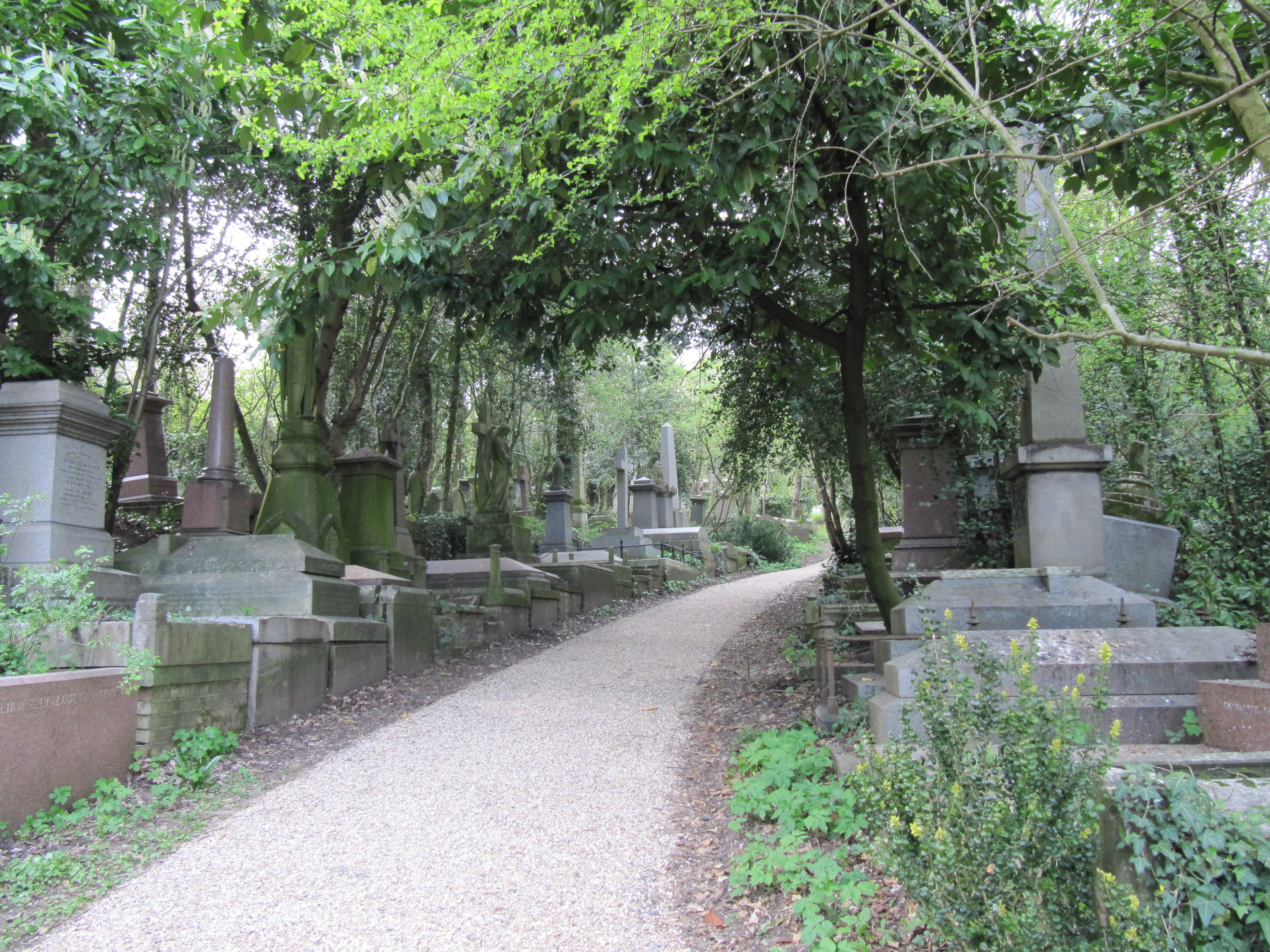 cemetary path