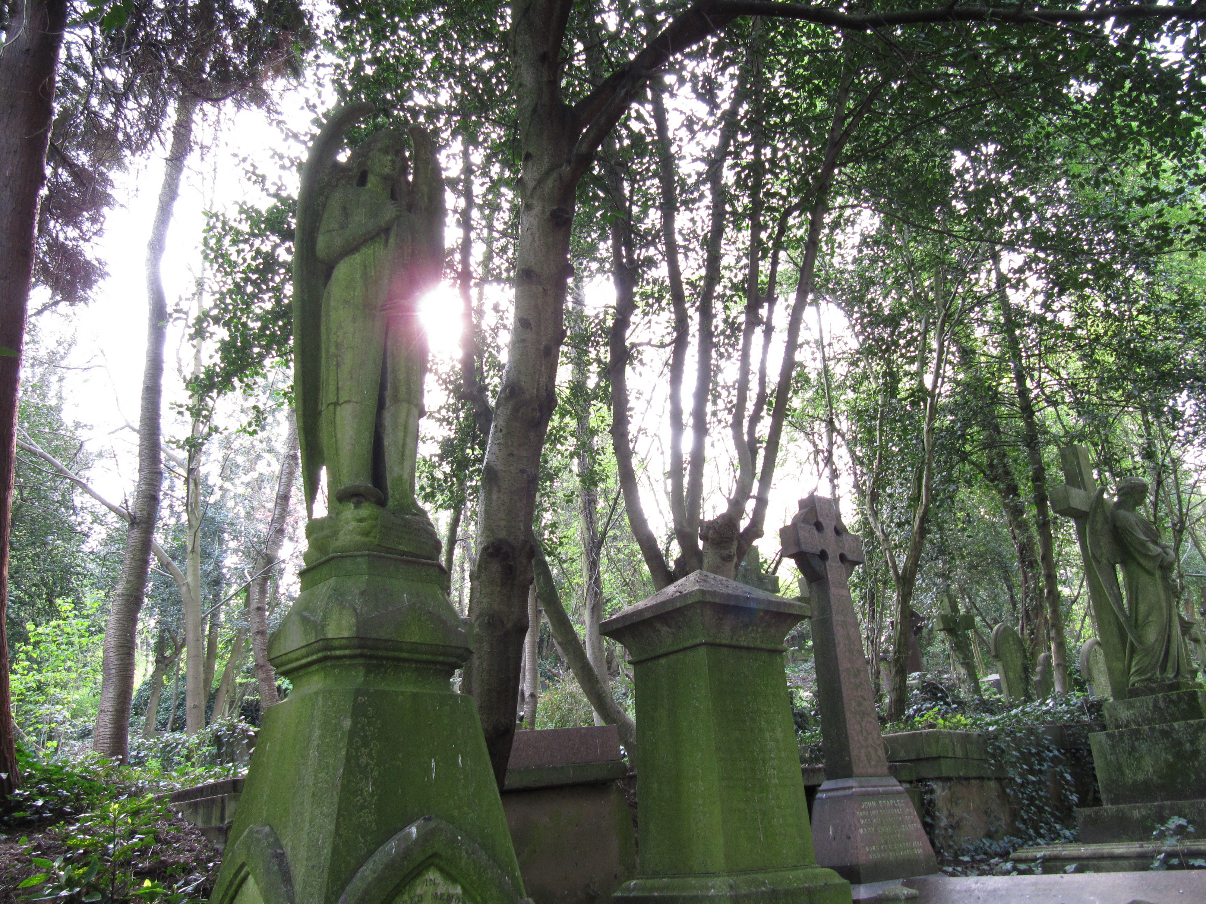 cemetery sun